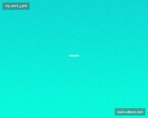 赛事活动包括哪些